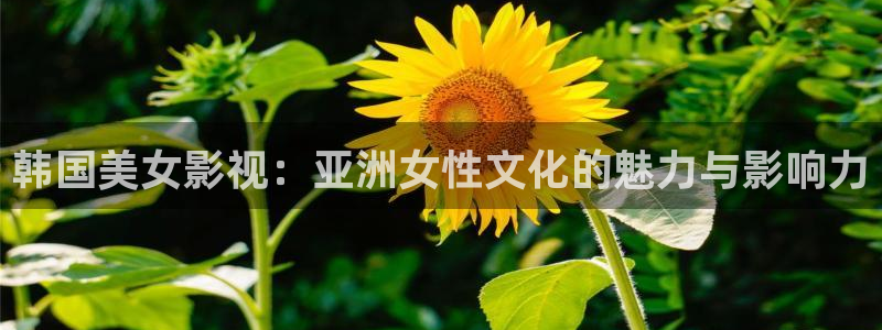 秋霞电影网,