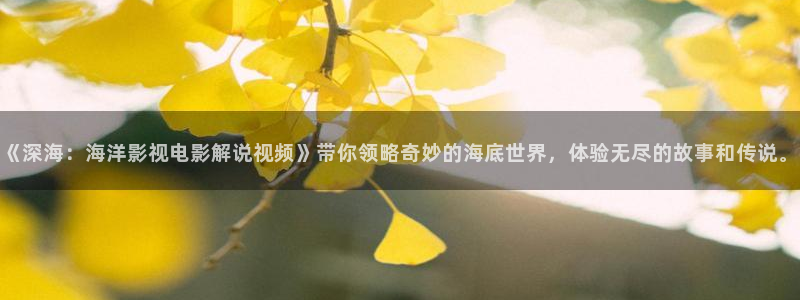 电影秋霞午夜