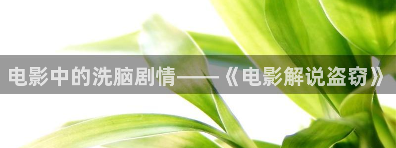 秋霞久久理论电影