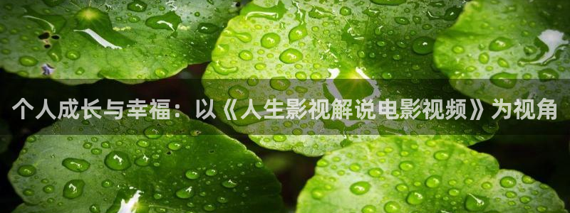 神马电影我不卡秋霞影院