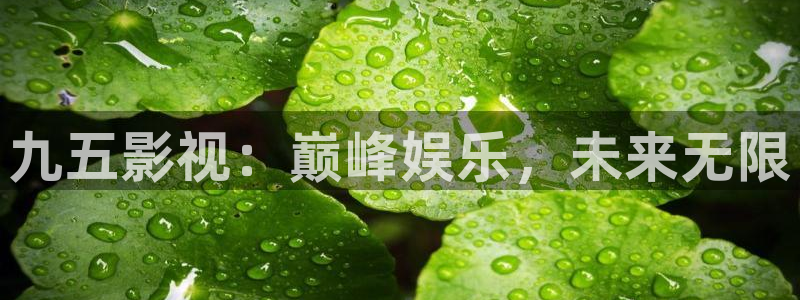 秋霞鲁丝84片