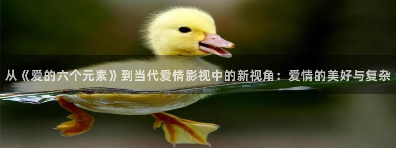 秋霞视频 在线观看