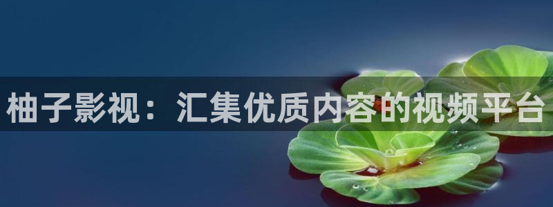 秋霞 影院