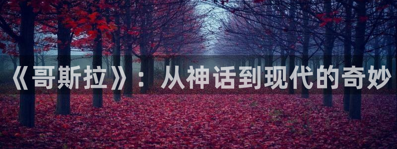 秋霞电影网在线