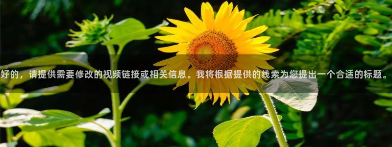 www.秋霞在线
