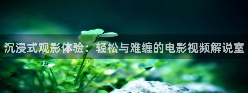 秋霞9