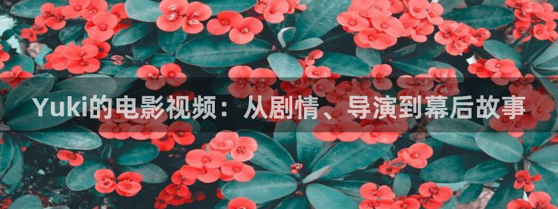 秋霞理论理论影院