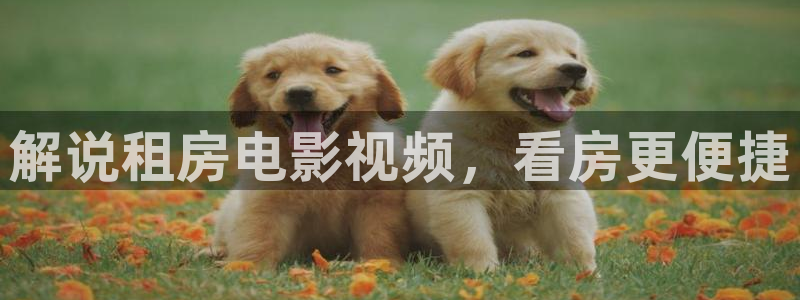 秋霞电影八戒