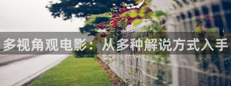 秋霞网高清