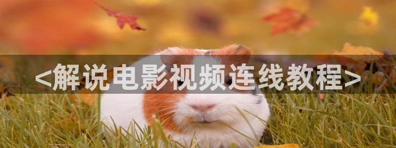 good电影网秋霞