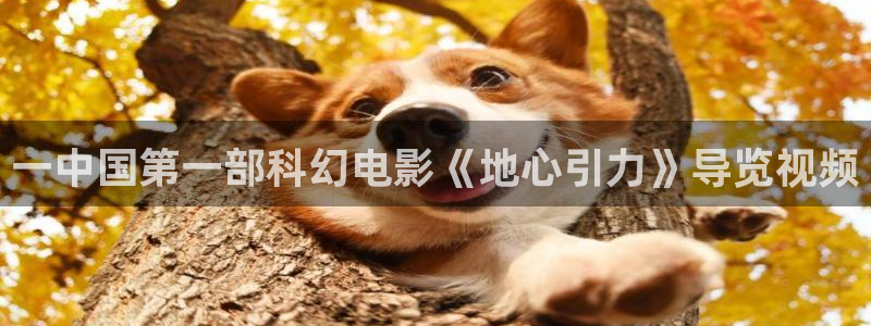 手机秋霞电影