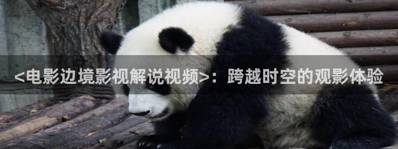 秋霞电影网αv