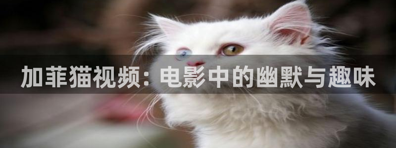 秋霞电影院