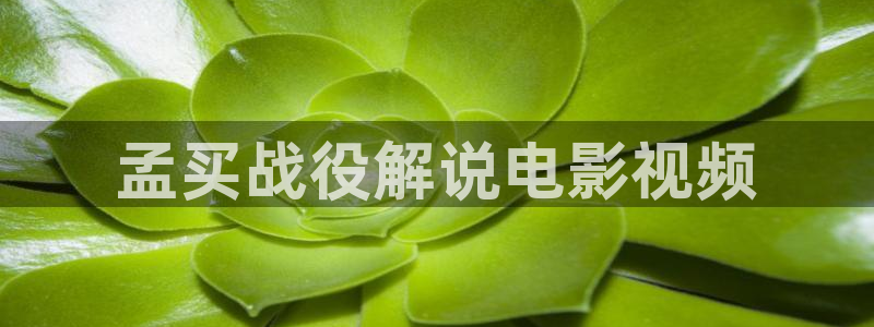 秋霞电影神马电影