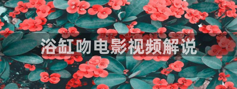 看片秋霞