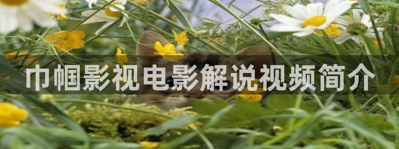 秋霞电影网久：巾帼影视电影解说视频简介