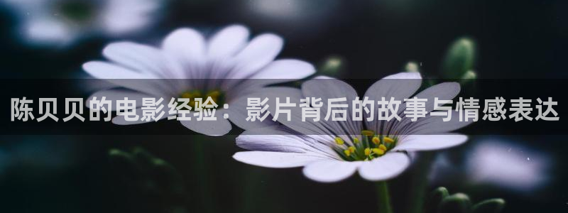 秋霞电影在线免费观看：陈贝贝的电影经验：影片背后的故事与情感表达