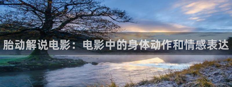 秋霞大片麻豆：胎动解说电影：电影中的身体动作和情感表达