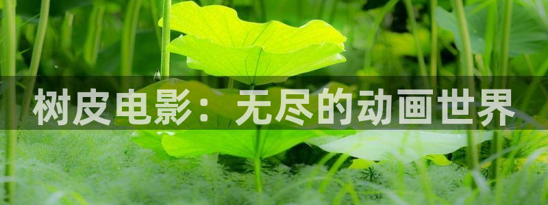 秋霞快播电影网：树皮电影：无尽的动画世界