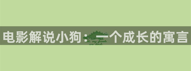 秋霞电影网啪啪黄：电影解说小狗：一个成长的寓言