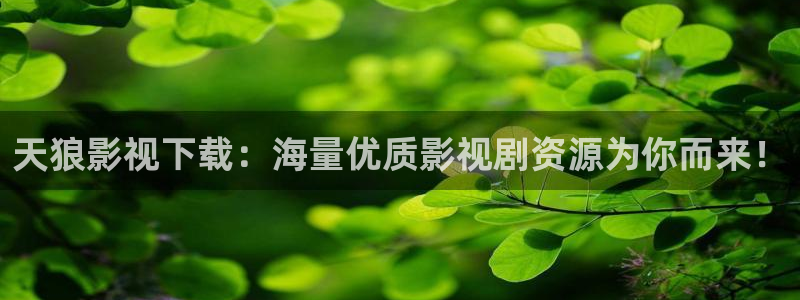 秋霞黄色拉丝网站：天狼影视下载：海量优质影视剧资源为你而来！