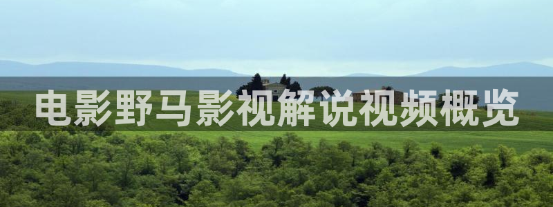 秋霞撸丝片在线观看