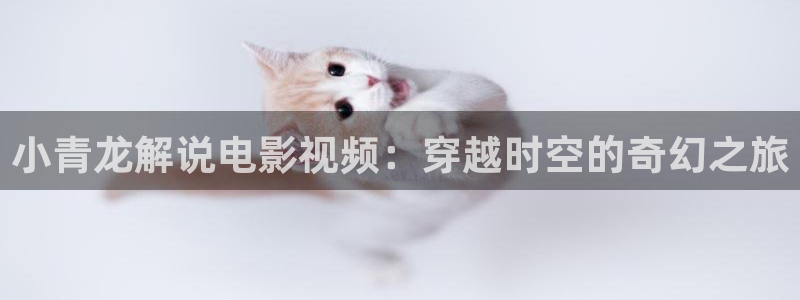 秋霞麻豆成人网：小青龙解说电影视频：穿越时空的奇幻之旅