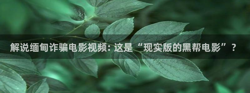 神马电影秋霞影视：解说缅甸诈骗电影视频: 这是“现实版的黑帮电影”？