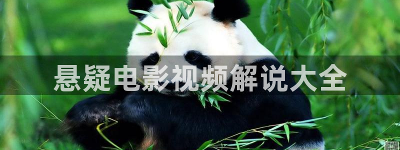 秋霞视频直播