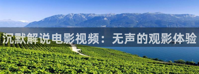 秋霞视频网站在线观看：沉默解说电影视频：无声的观影体验