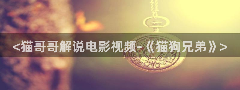 国产秋霞电影：<猫哥哥解说电影视频-《猫狗兄弟》>