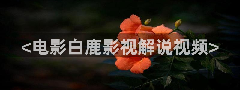 秋霞一级网站：<电影白鹿影视解说视频>