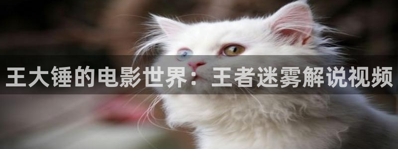 秋霞成人在线影院：王大锤的电影世界：王者迷雾解说视频