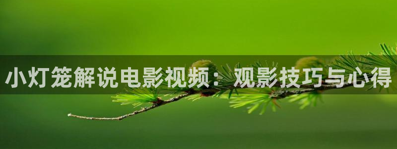 秋霞网站片：小灯笼解说电影视频：观影技巧与心得