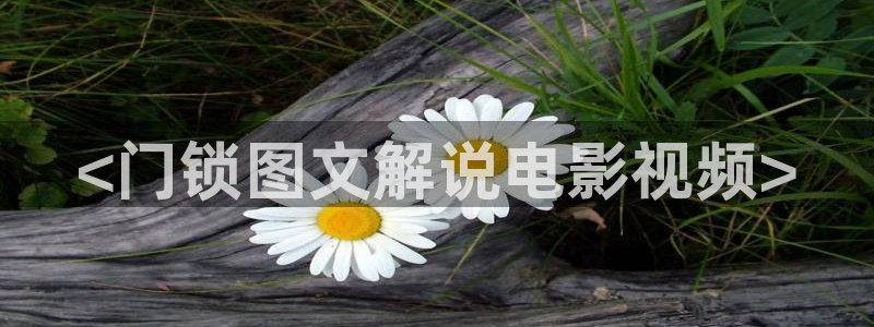 电影秋霞电影网：<门锁图文解说电影视频>