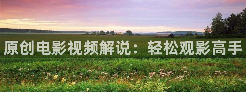 秋霞电影网不卡影院：原创电影视频解说：轻松观影高手