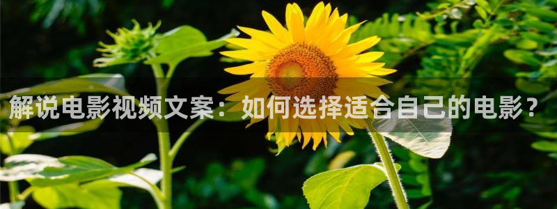 秋霞影院午夜理论片：解说电影视频文案：如何选择适合自己的电影？