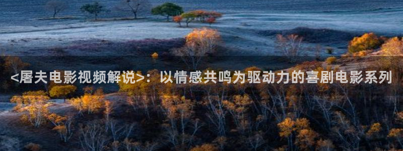 秋霞网在线播放观看