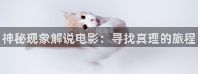 秋霞影音在线观看