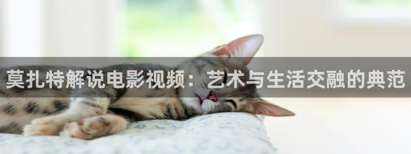 米奇秋霞网