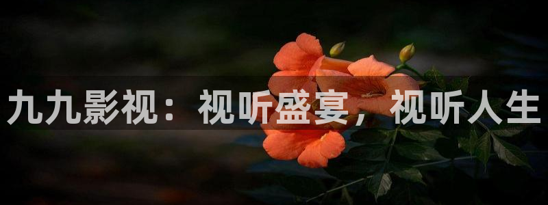 秋霞伦理资源电影网