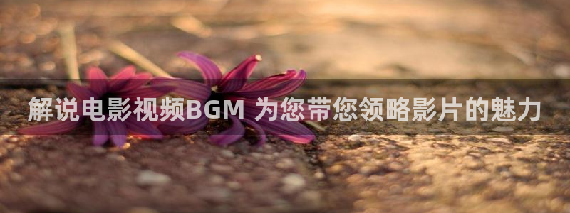 秋霞电影院免费观看