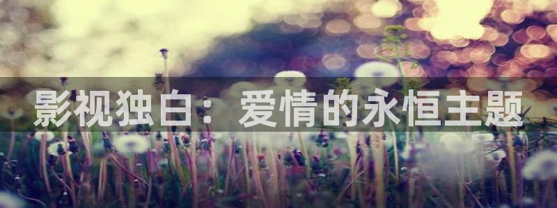 2018秋霞理论电影
