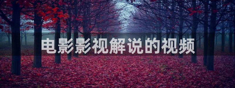 神马午夜秋霞电影