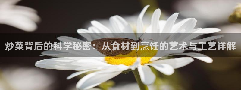 秋霞免费视频播放
