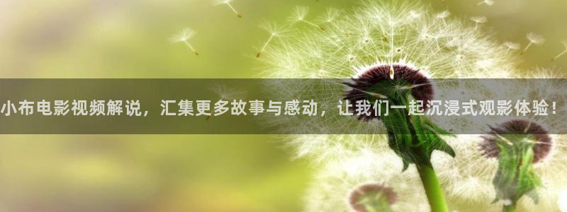 秋霞电影网手机免费观看