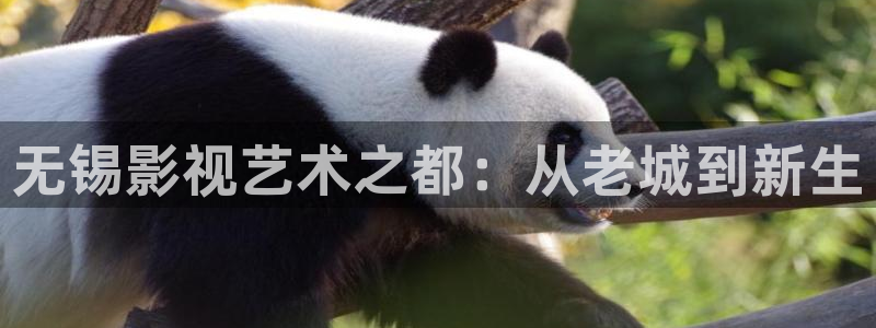 秋霞鲁丝大片