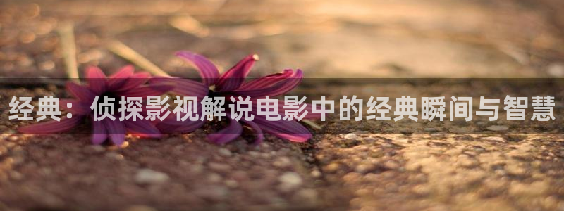 秋霞午夜久久影院