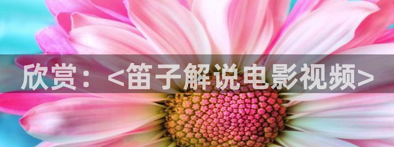 秋霞电影网小说