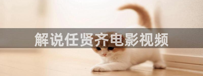 秋霞神马片